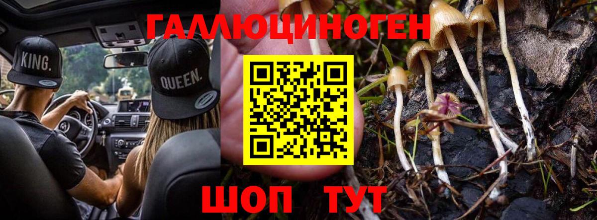Ликино-Дулёво  Псилоцибиновые грибы GOLDEN TEACHER  Псилоцибиновые грибы Psilocybine cubensis  Вход с VPN 